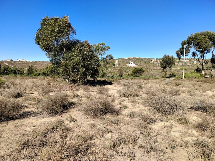 0 Bedroom Property for Sale in St Helena Views Western Cape